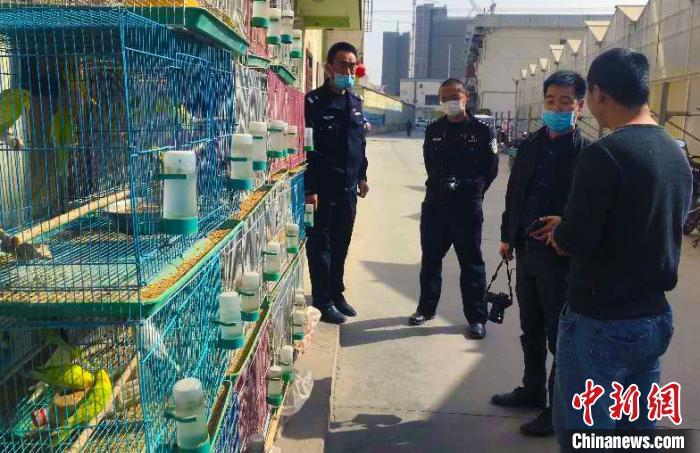 新疆阿克苏查获3起涉嫌违法经营野生动物案