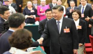 习近平总书记在参加十三届全国人大二次会议内蒙古代表团.png