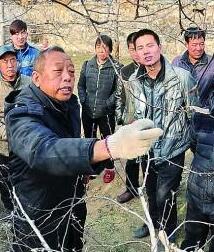 李保国：用科技之手“点石成金”.jpg