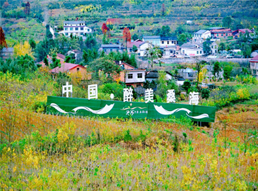 封面图.png